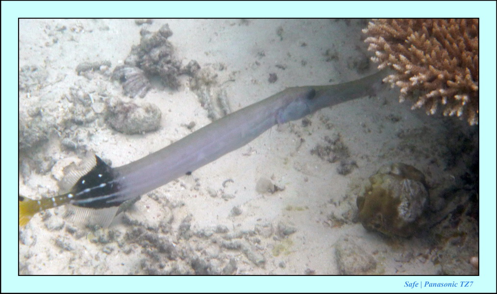 2009   07   Matakin 47